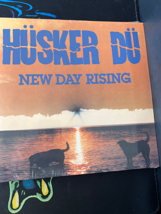 HUSKER DU - new day rising