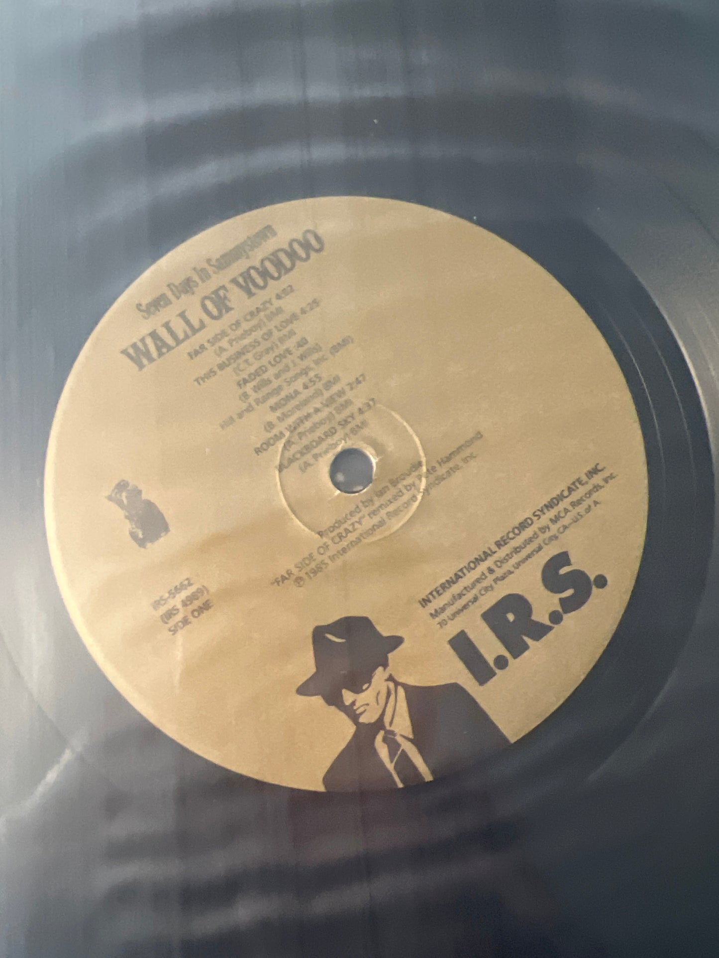 WALL OF VOODOO - seven days in Sammystown