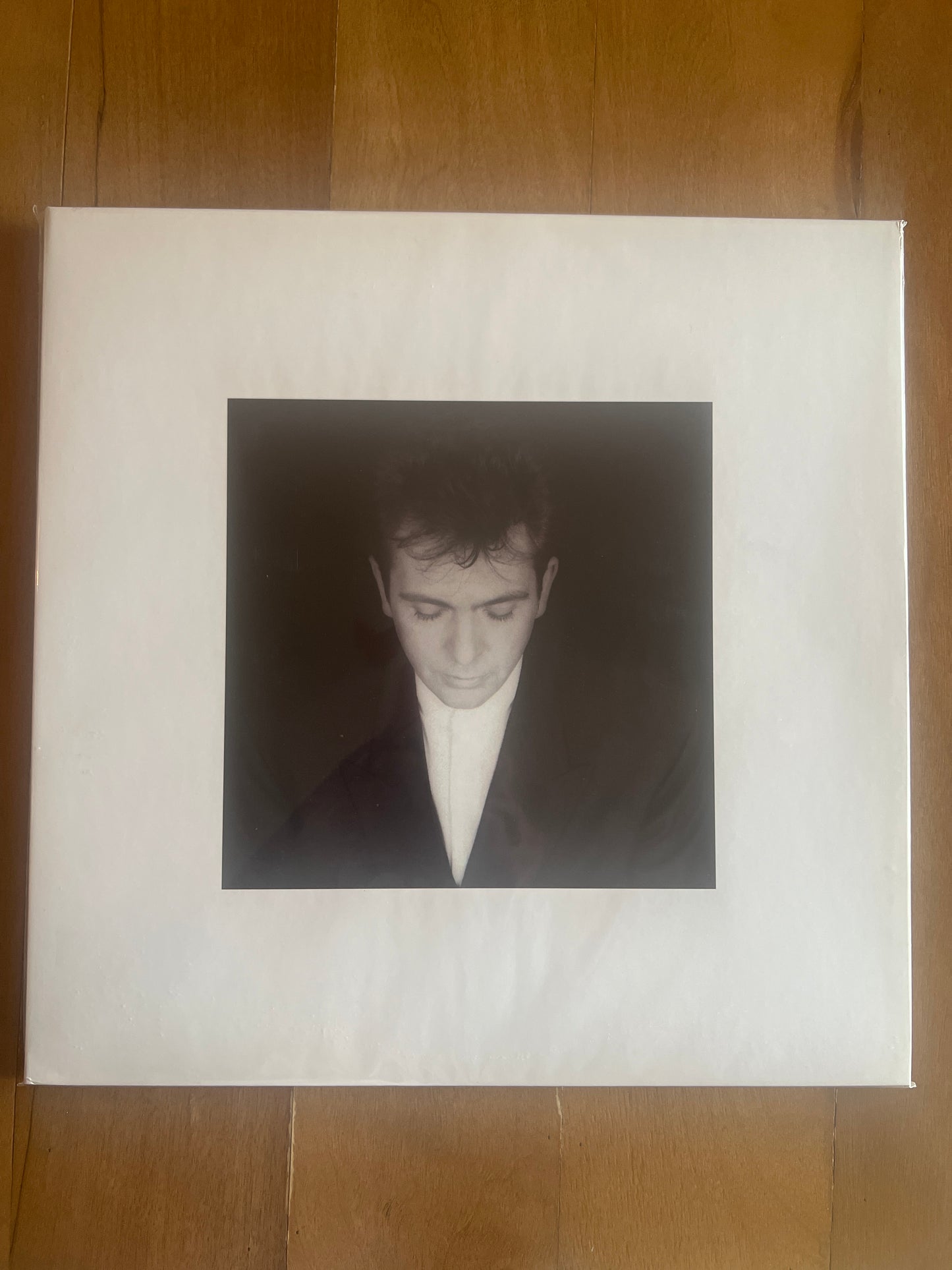 PETER GABRIEL - shaking the tree