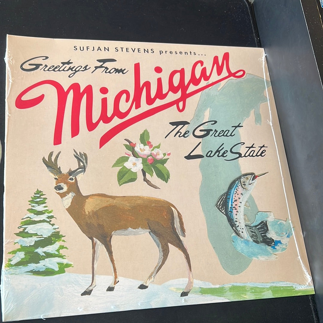 SUFJAN STEVENS - Greetings From Michigan