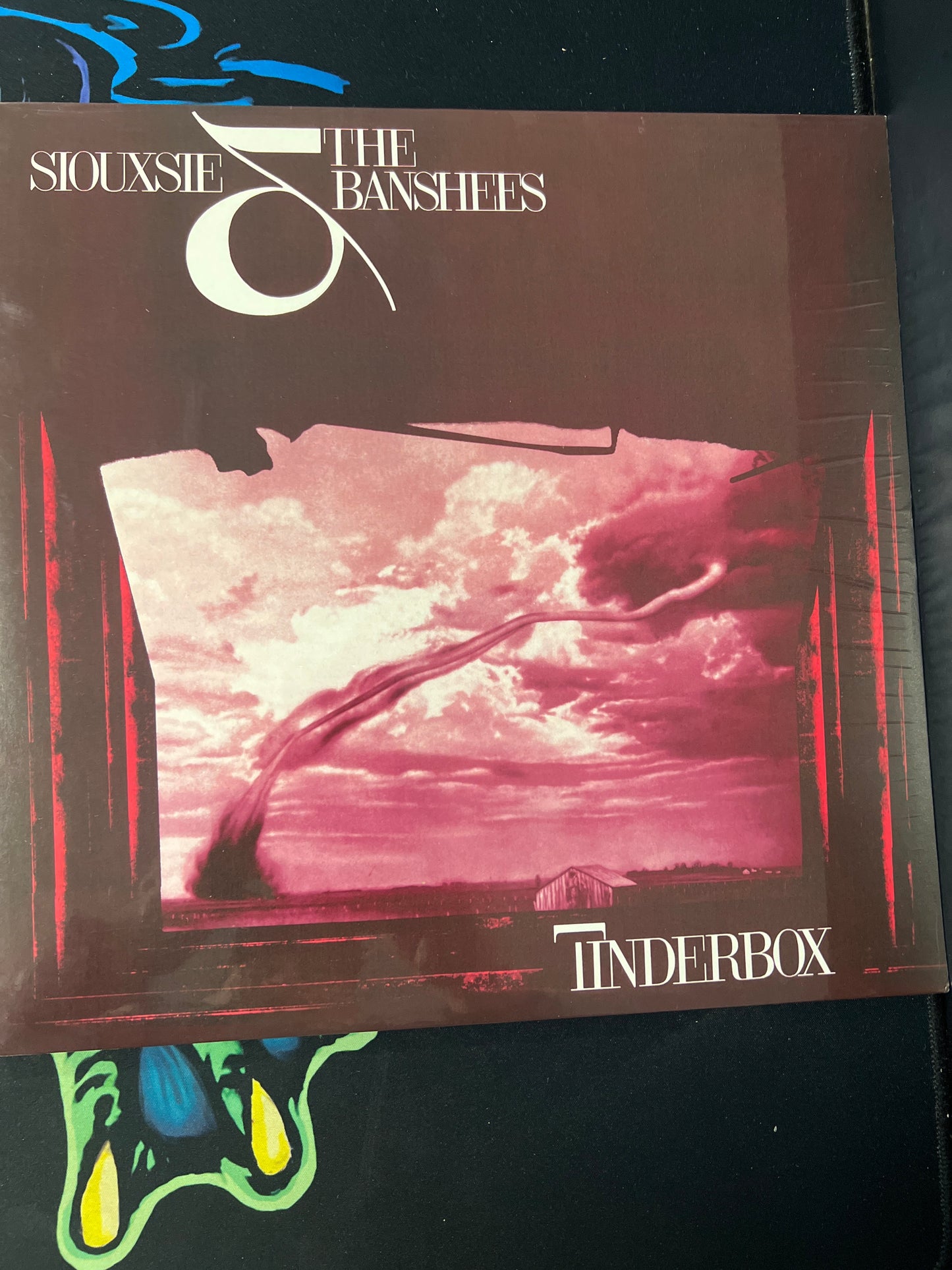 SIOUXSIE & THE BANSHEES - tinderbox