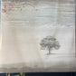 GENESIS - wind and wuthering