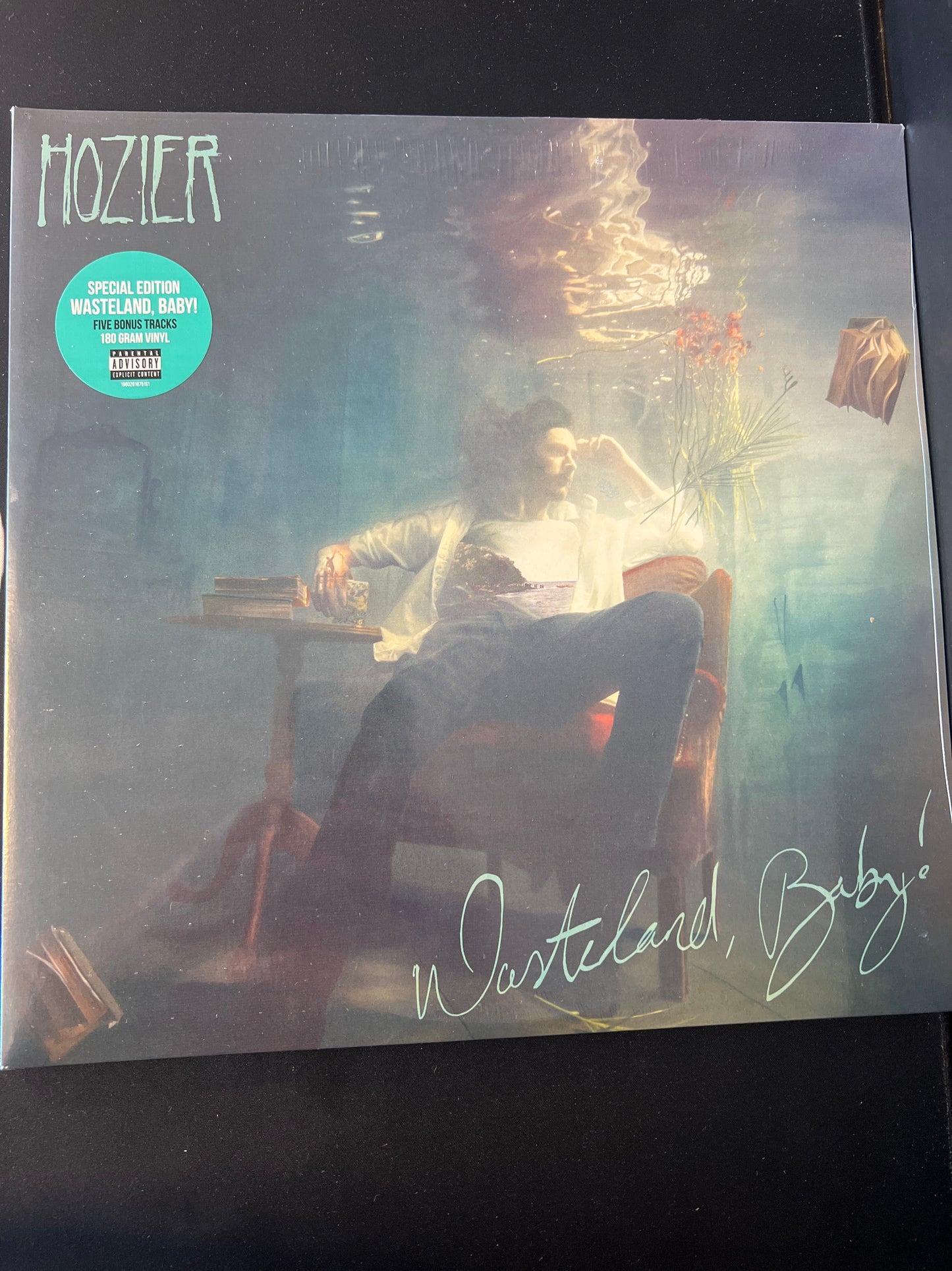 HOZIER - wasteland, baby!