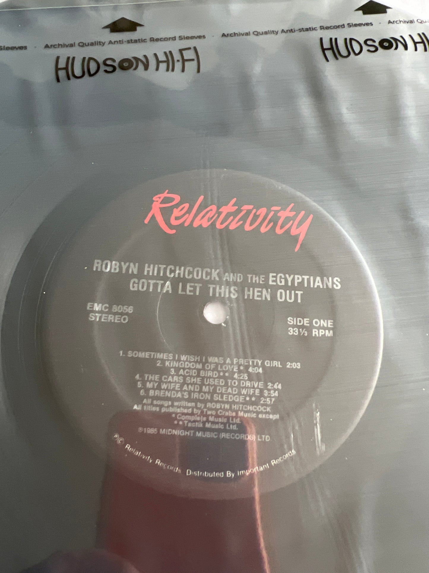 ROBYN HITCHCOCK - gotta let this hen out!