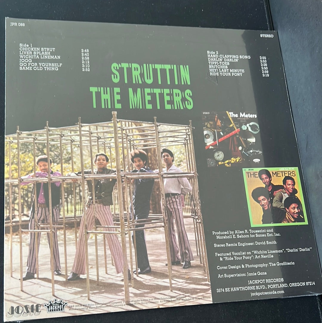 THE METERS - struttin