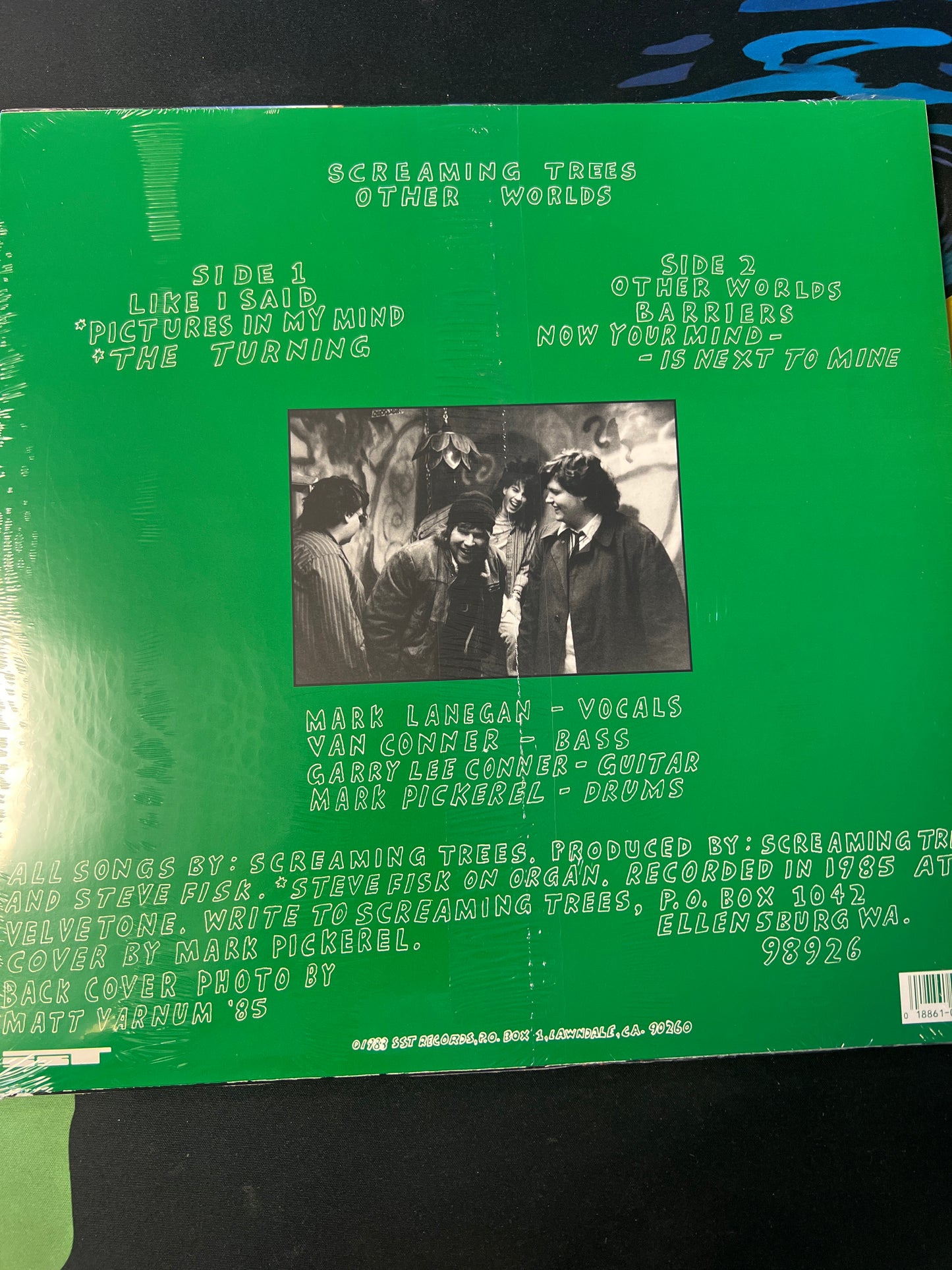 SCREAMING TREES - other worlds