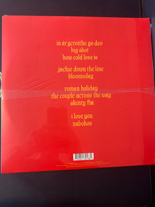 FONTAINS D.C. - skinty fia