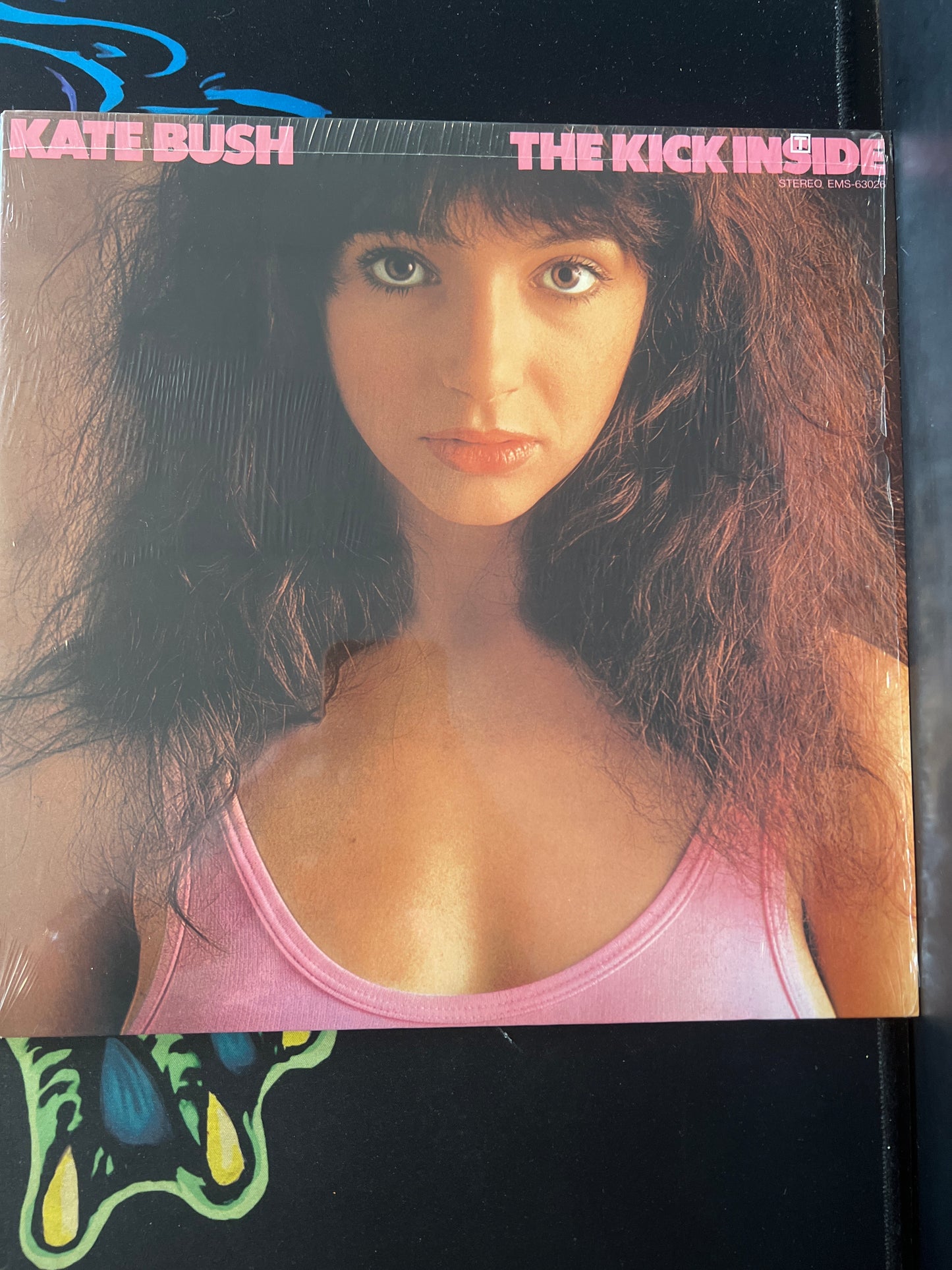 KATE BUSH - the kick inside