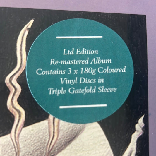 THE CHAMELEONS - strange times