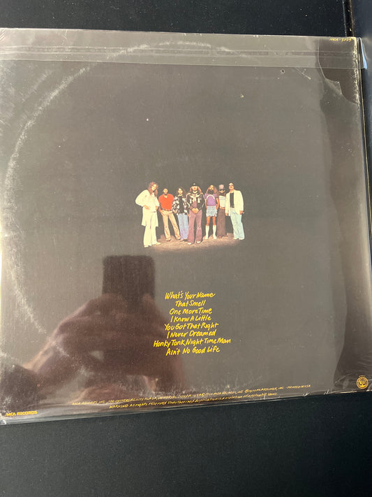 LYNYRD SKYNYRD - street survivors