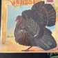 WILD TURKEY - Turkey