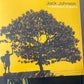 JACK JOHNSON - in between dreams