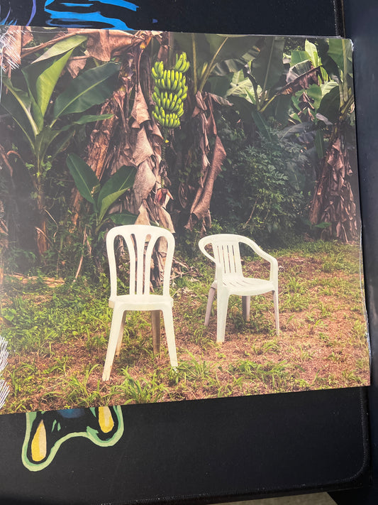 BAD BUNNY - Debi Tirar Mas Fotos