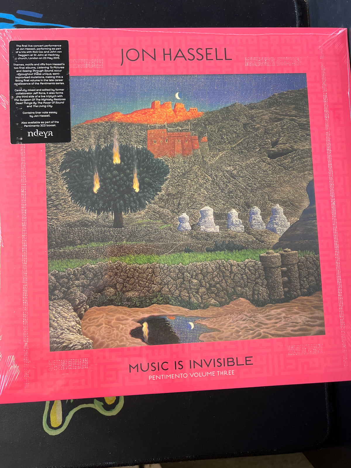 JOHN HASSELL - music is invisible