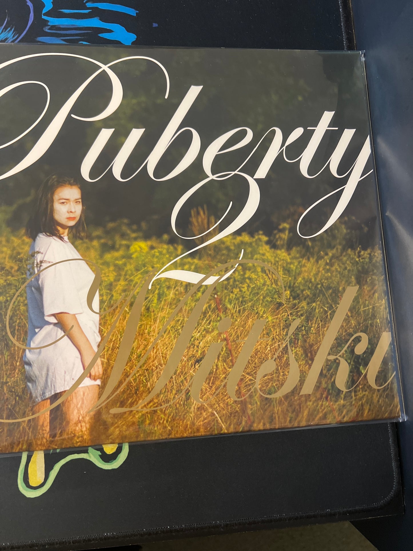 MITSKI - puberty 2