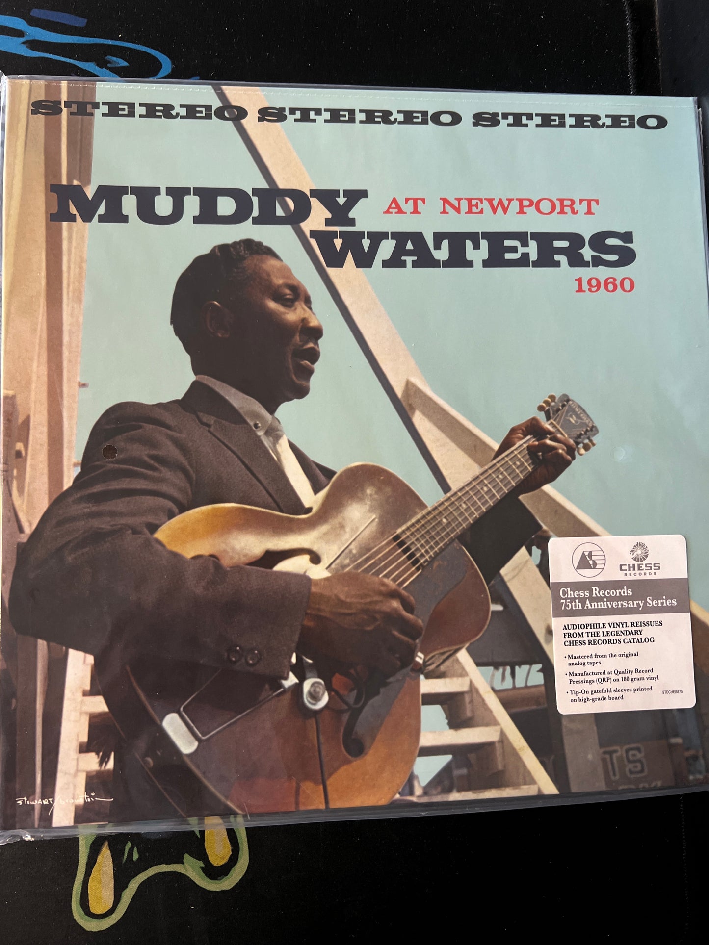 MUDDY WATERS - At Newport 1969