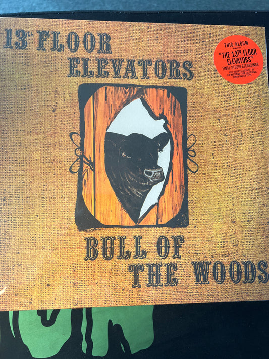 13 FLOOR ELEVATORS - Bull of the woods