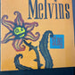 MELVINS - stag