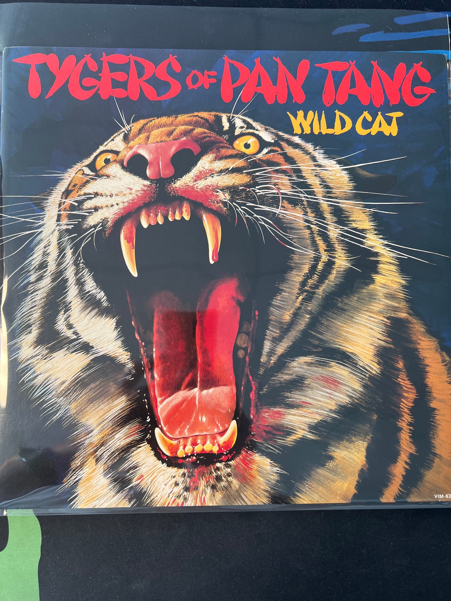 TIGERS OF PAN TANG - wild cat
