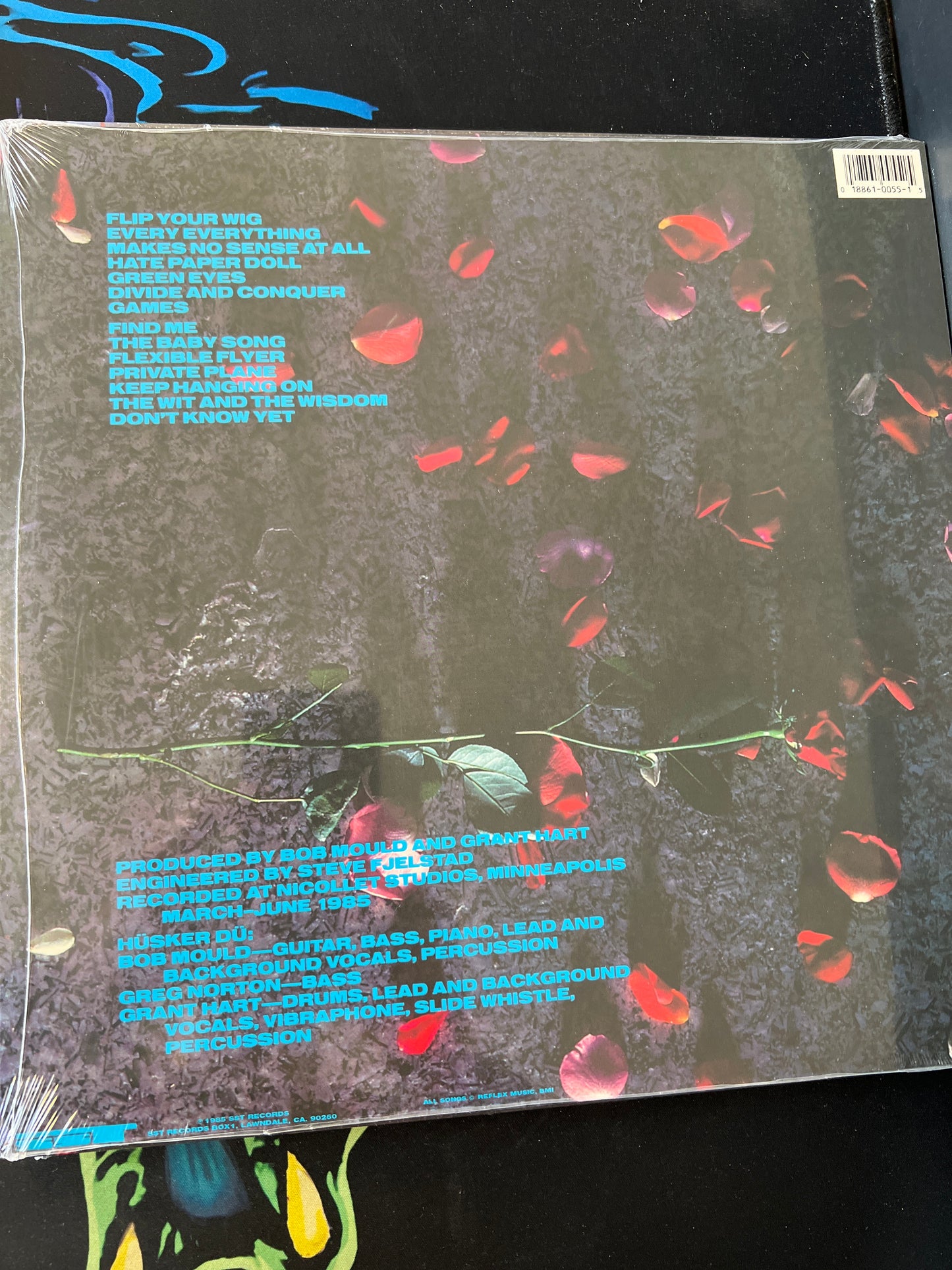 HUSKER DU - flip your wig