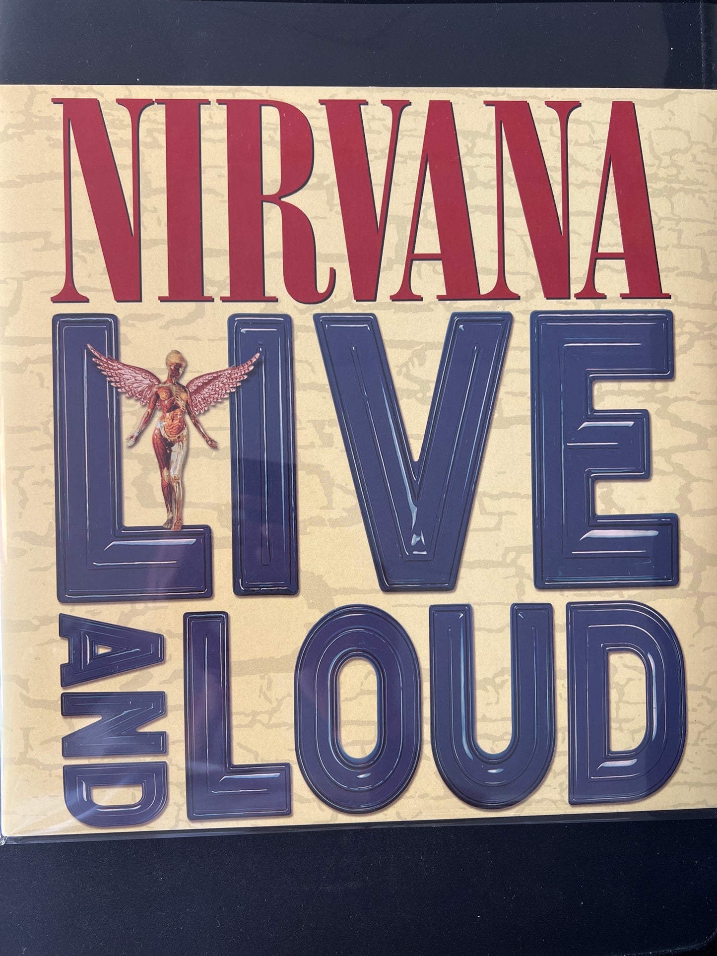 NIRVANA - live and loud