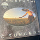 THE FLAMING LIPS - telepathic surgery