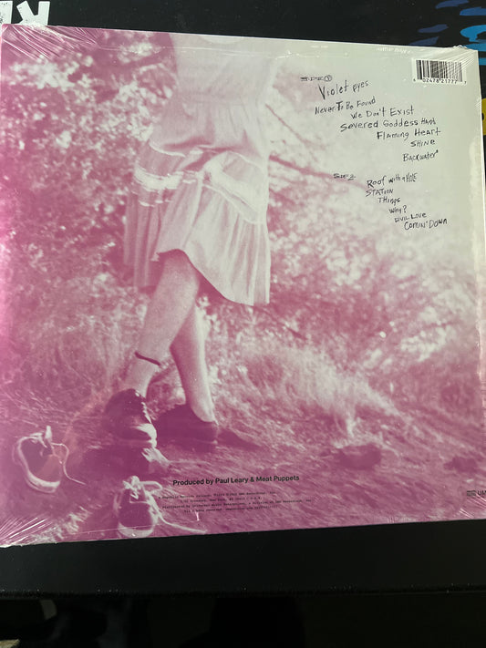 MEAT PUPPETS - too high to die