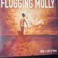 FLOGGING MOLLY - within a mile of home