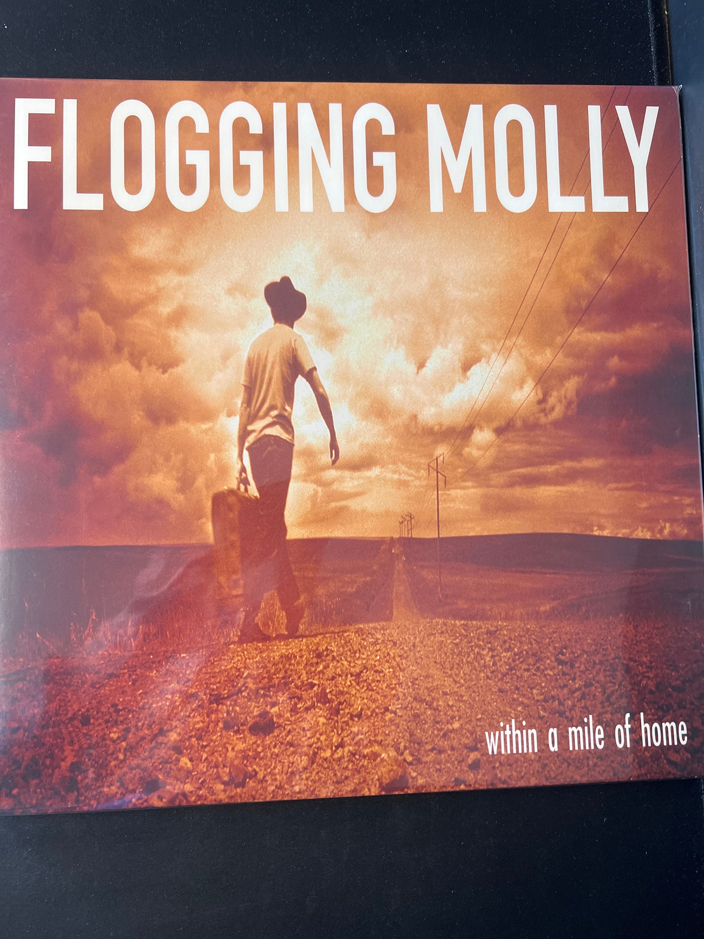 FLOGGING MOLLY - within a mile of home