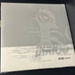 PIXIES - beneath the eyrie