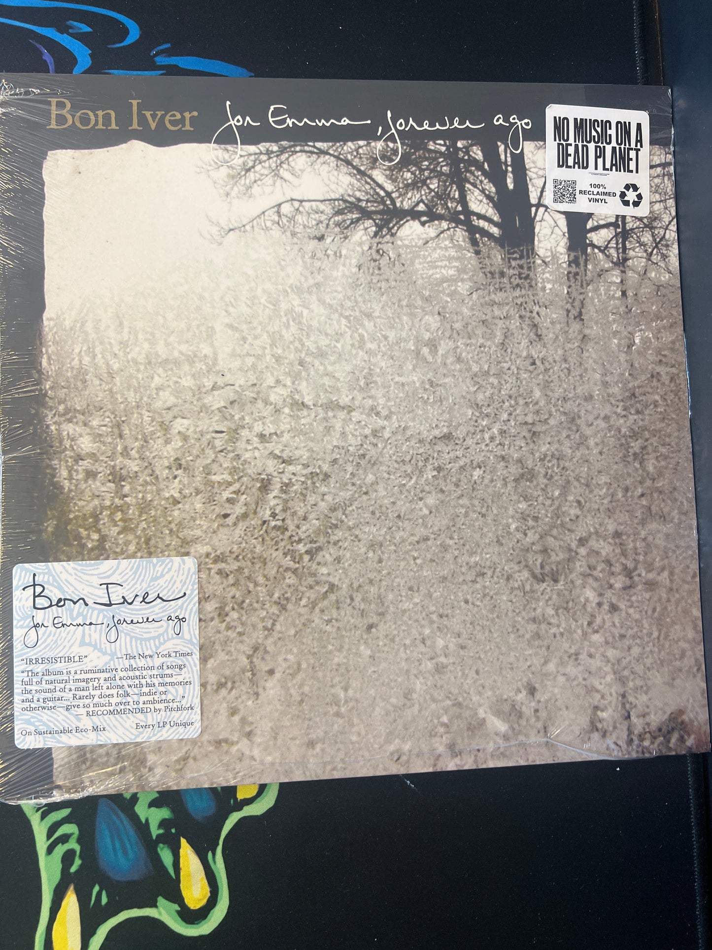 BON IVER - for Emma, forever ago