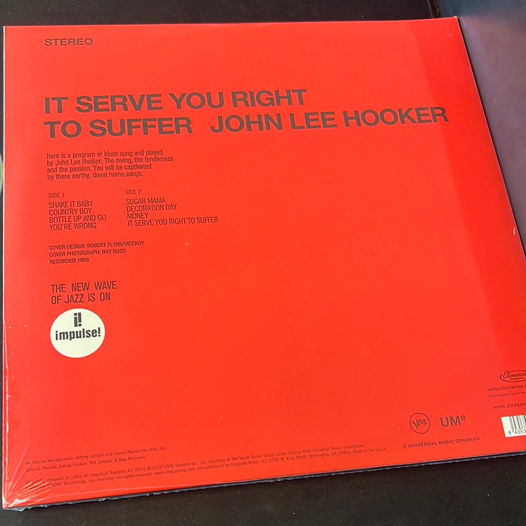 JOHN LEE HOOKER - it serve you right to suffer