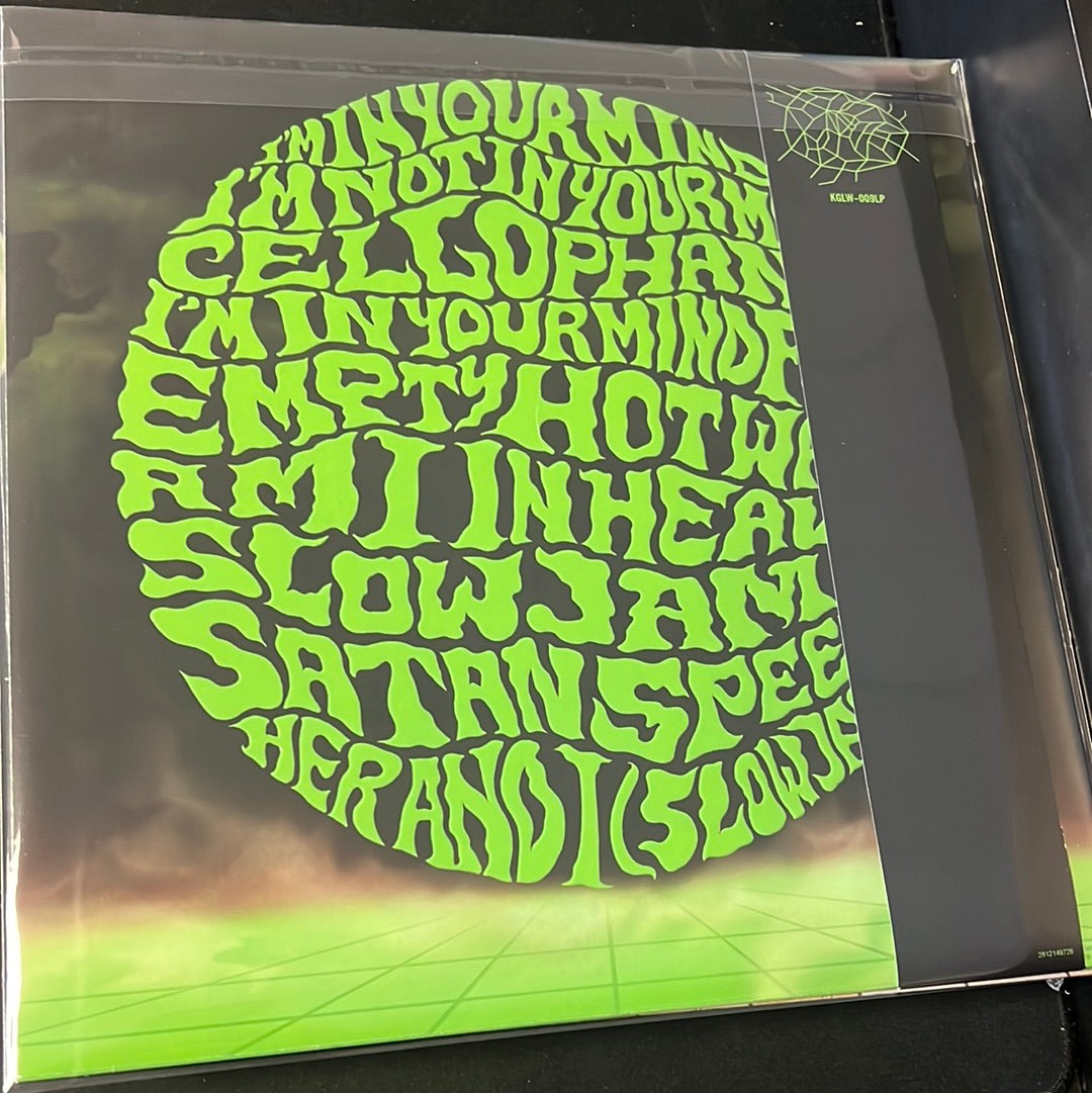 KING GIZZARD AND THE LIZARD WIZARD - I’m in your mind fuzz