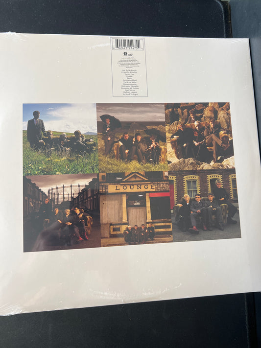 THE CRANBERRIES - no need to argue