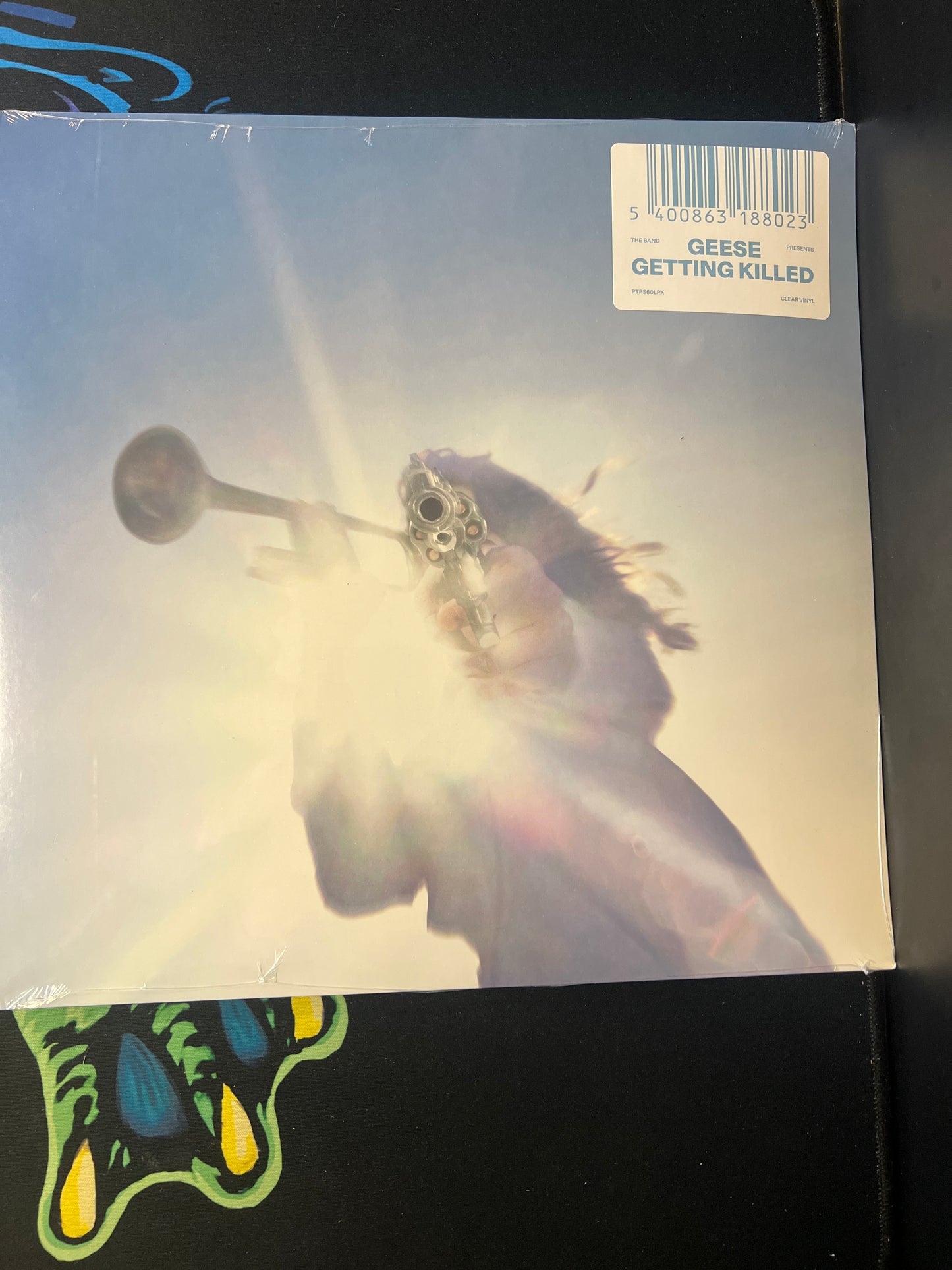 GEESE - getting killed