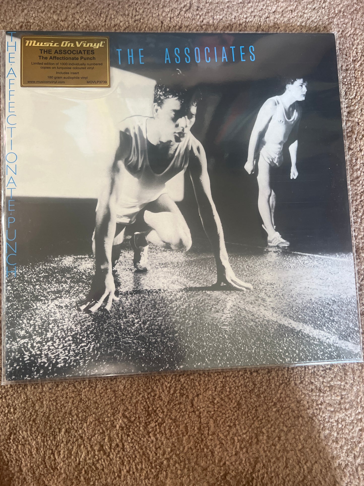 THE ASSOCIATES - the affectionate punch