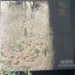 BON IVER - for Emma, forever ago