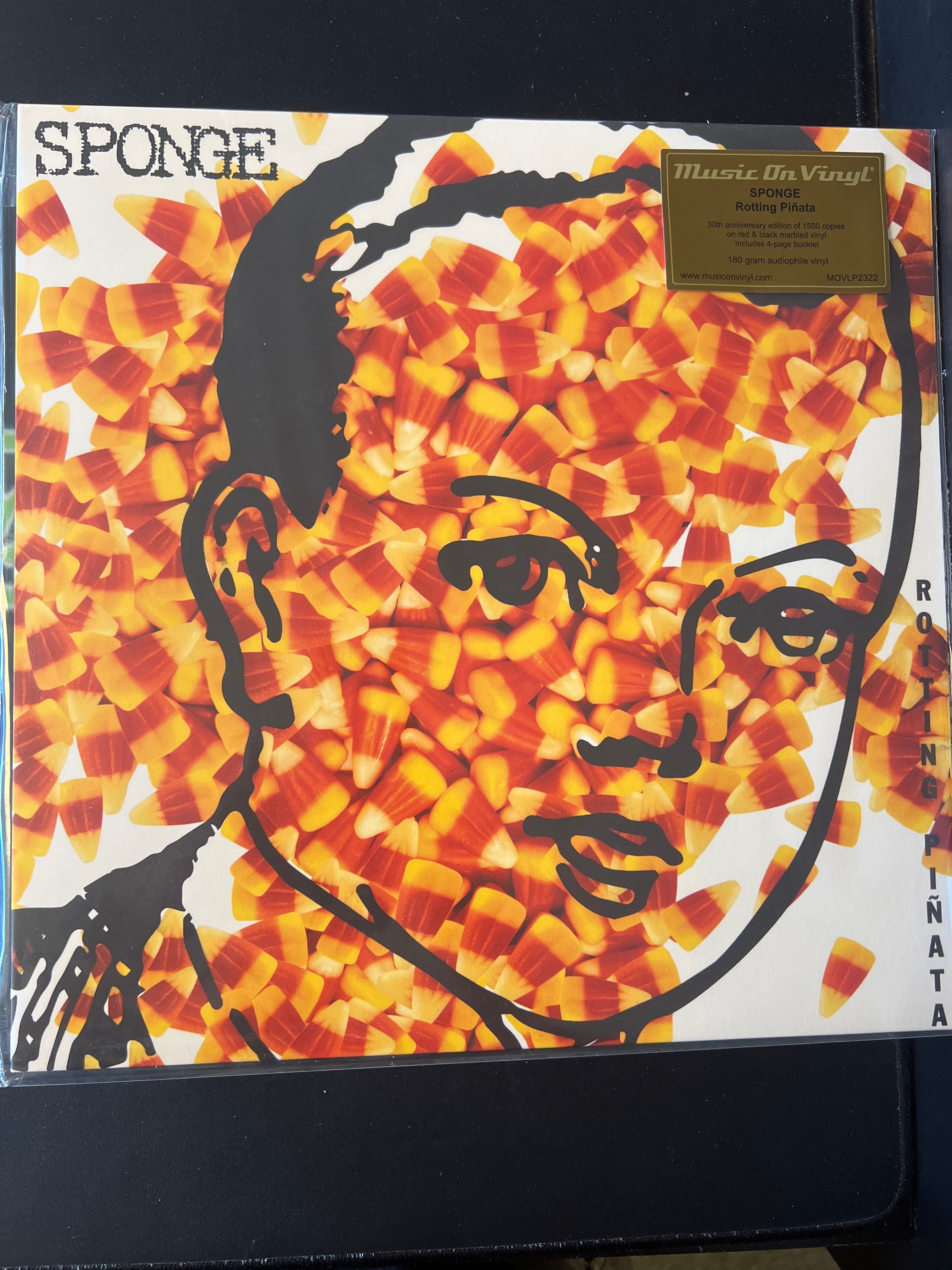 SPONGE - rotting piñata – Northwest Grooves