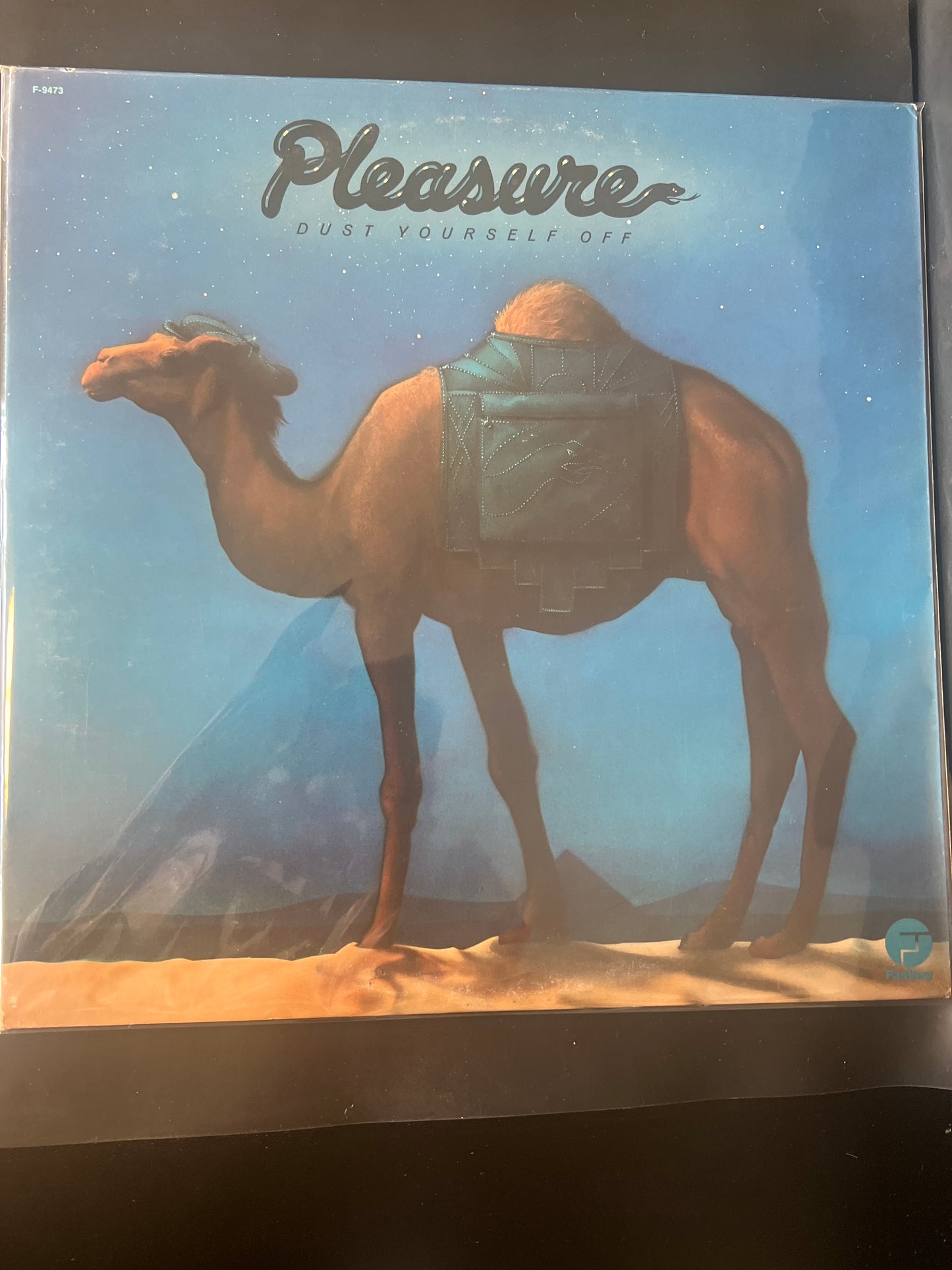PLEASURE - dust yourself off