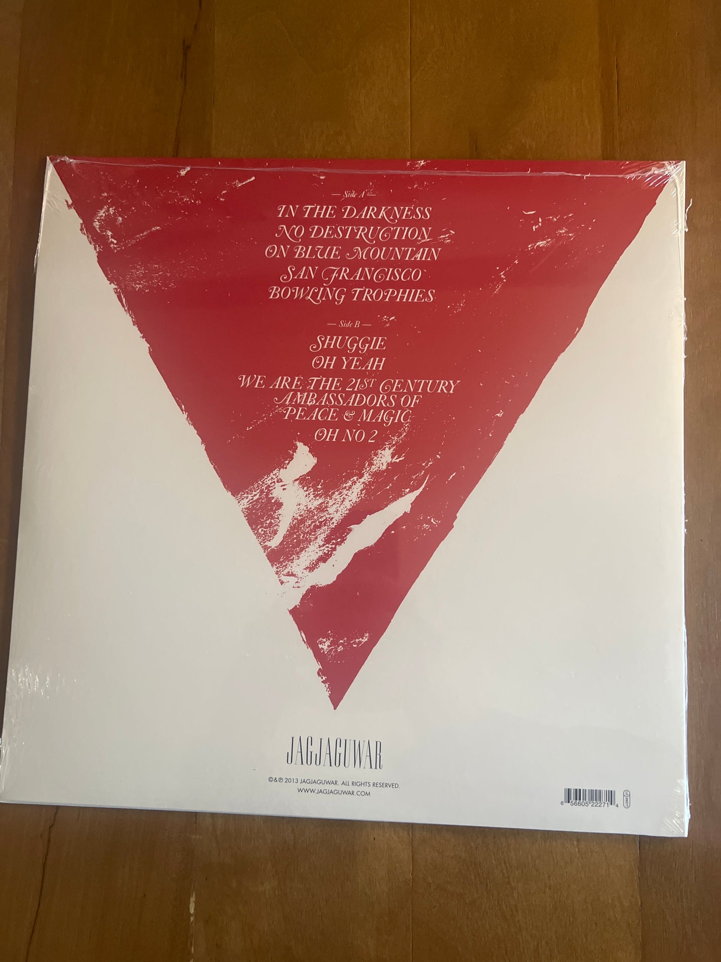 FOXYGEN - we are the 21st century ambassadors of peace and magic