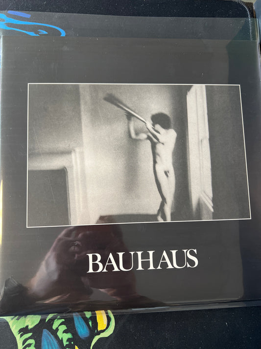 BAUHAUS - in the flat field