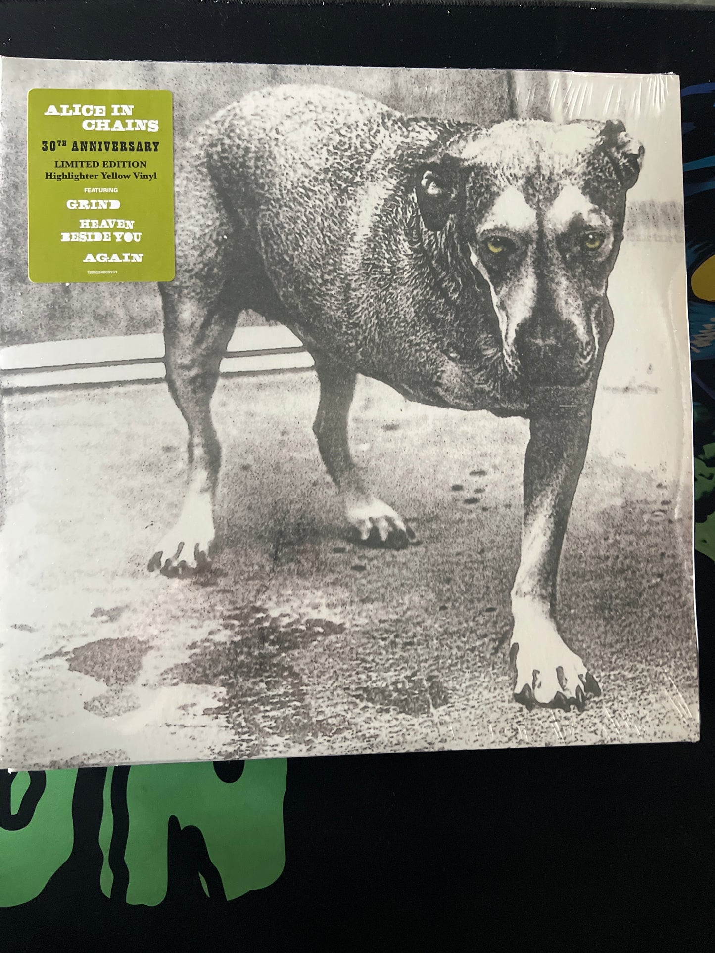 ALICE IN CHAINS -  Alice In Chains