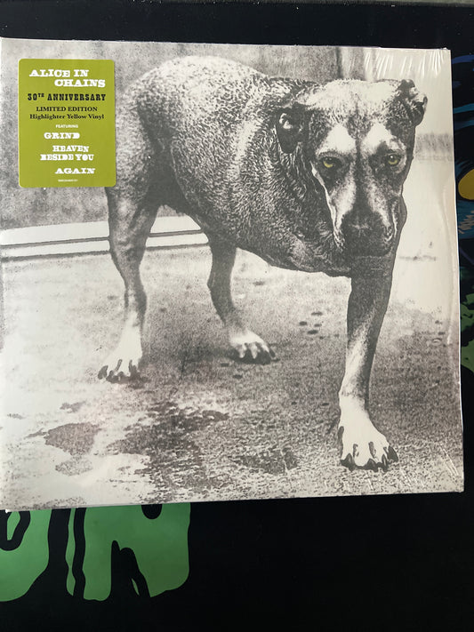 ALICE IN CHAINS -  Alice In Chains