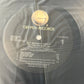 PAT METHENY - letter from home