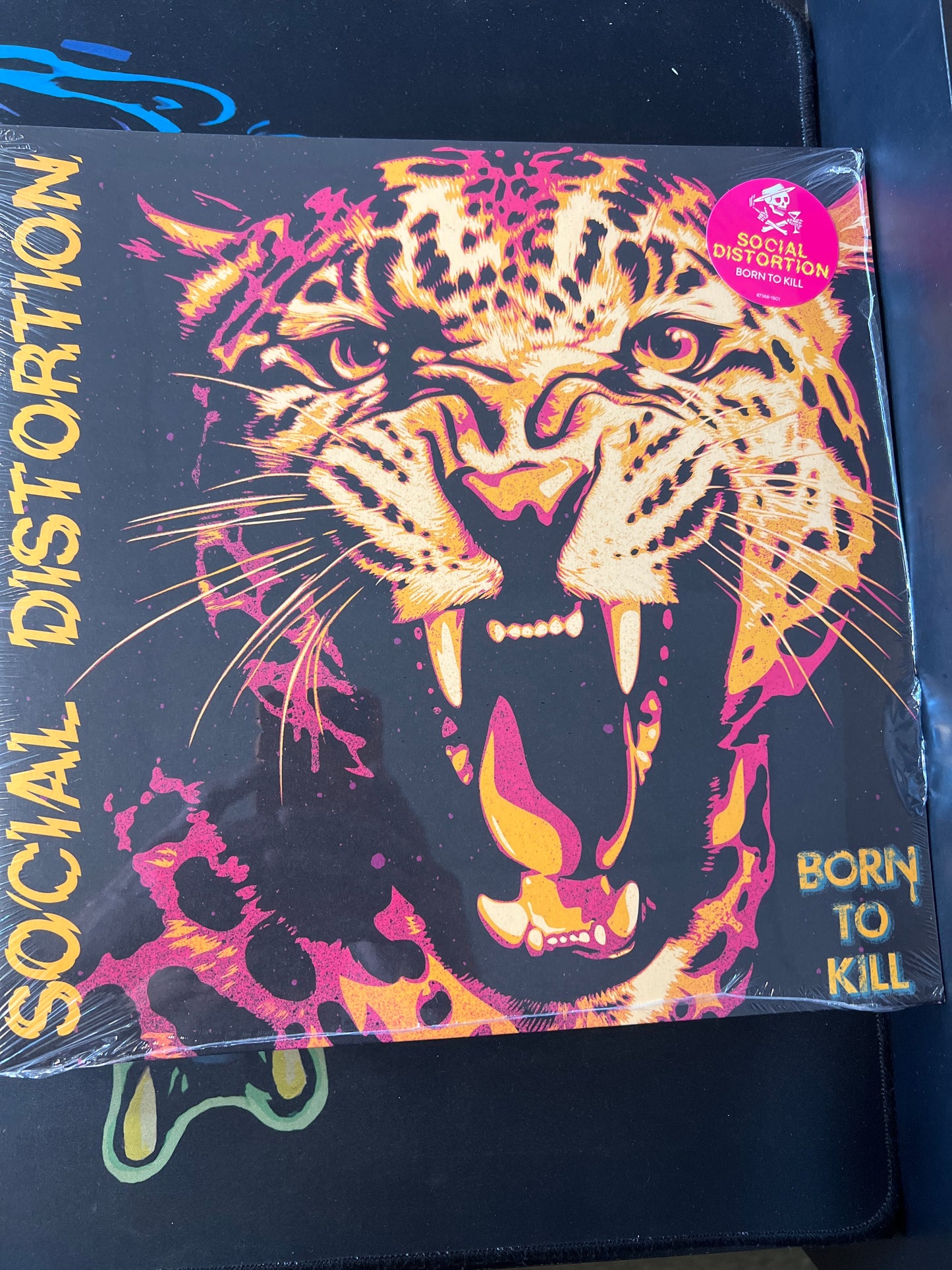 SOCIAL DISTORTION - born to kill