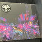 THE BLACK ANGELS - levitation sessions