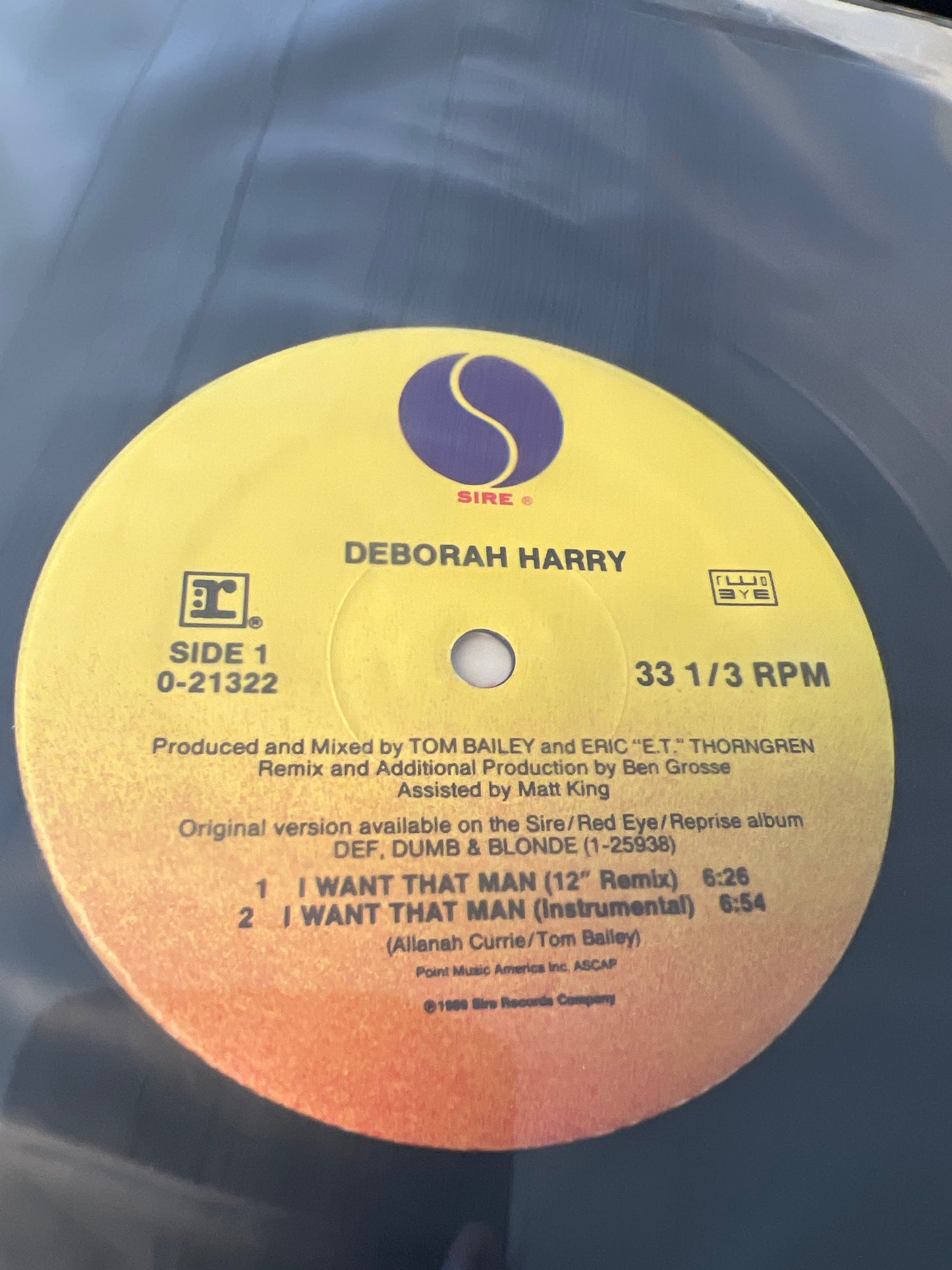 DEBORAH HARRY - I want that man