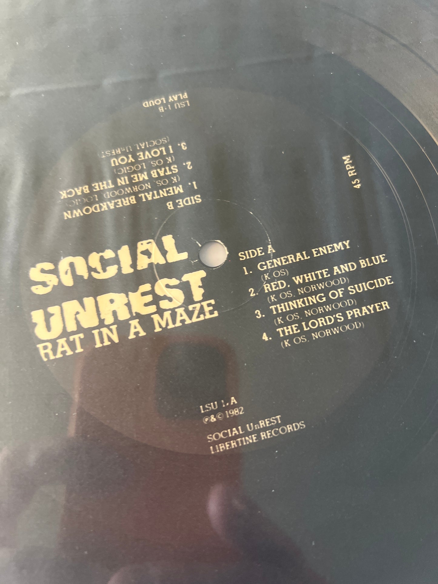 SOCIAL UNREST - rat in a maze
