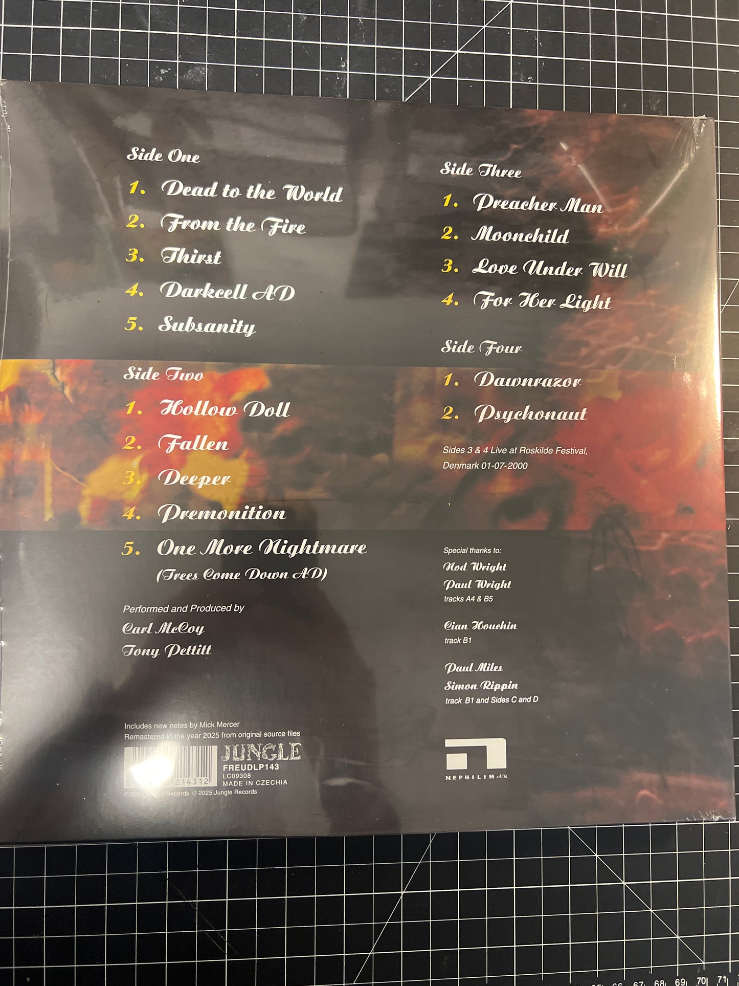 FIELDS OF THE NEPHILIM - fallen