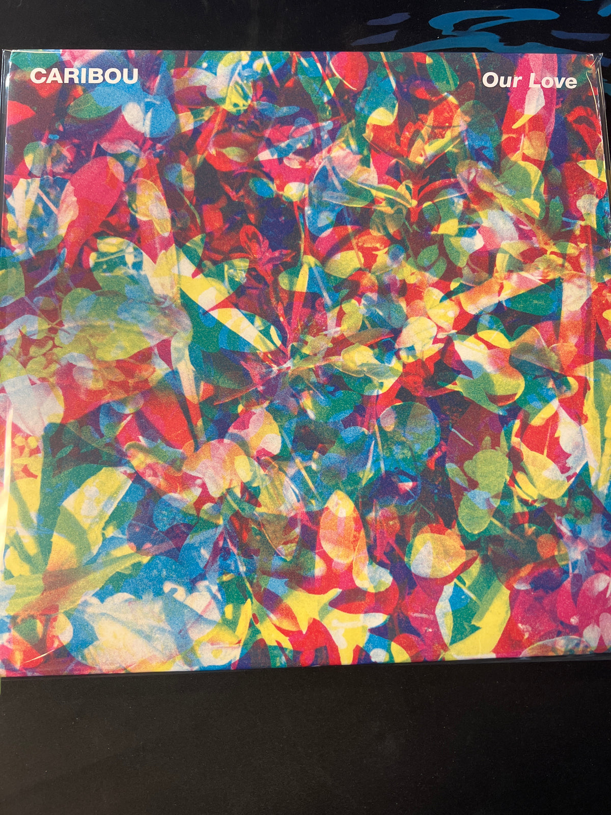 CARIBOU - our love